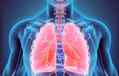 Respirology and Sleep Medicine